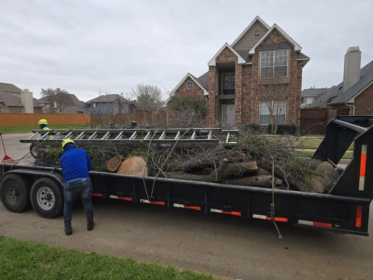 Expert Tree Fertilization with proper safety equipment in Union Bridge
